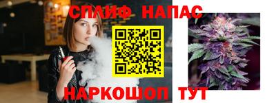 стафф Шебекино