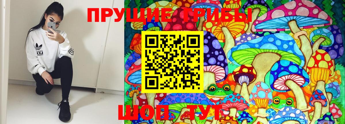 Галлюциногенные грибы GOLDEN TEACHER  Псилоцибиновые грибы ЛСД  Борзя  Вход с VPN 